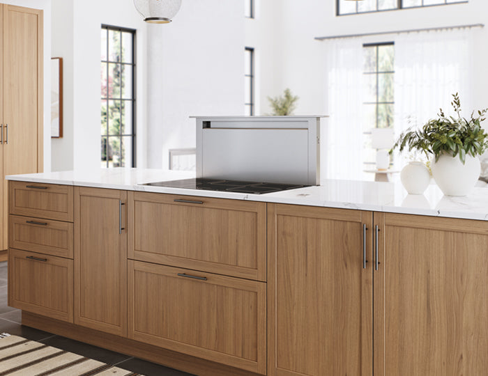 ZEPHYR ZTV-E36AS 36&quot; Treviso Downdraft