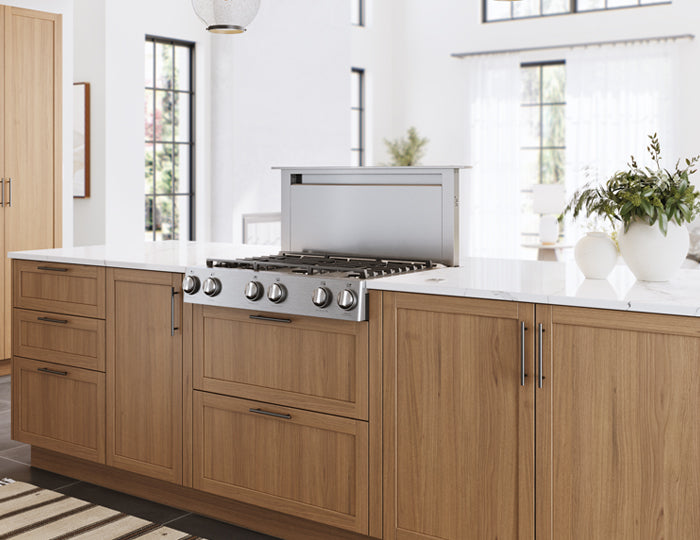 ZEPHYR ZTV-E36AS 36&quot; Treviso Downdraft
